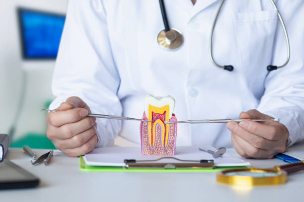 Best Same-Day Emergency Dentist in Robesonia, PA